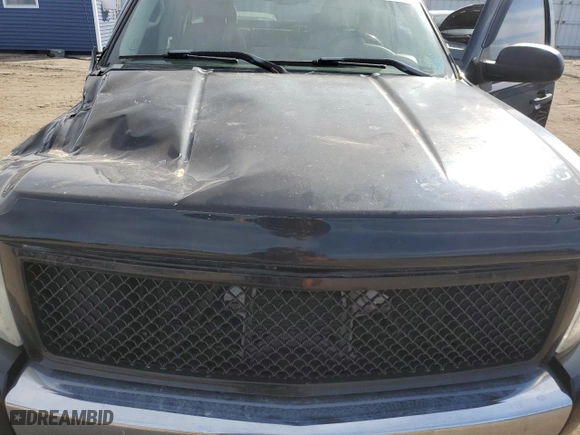 2007 Chevrolet Silverado 1500 LT w/1LT with VIN 1GCEK19J57Z516670, listed as a Copart auction lot 48702965 with 200,278 mi miles and Salvage Title. Bid and sale history available at carsss.com. Image 11.