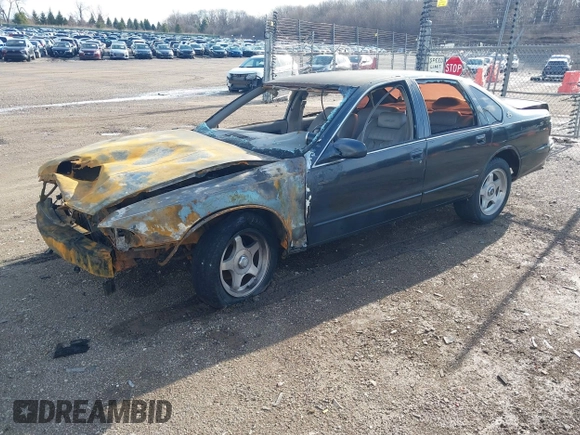 1995 Chevrolet Caprice with VIN 1G1BL52P3SR145712, listed as a IAAI auction lot 41954561 with Not Provided miles and . Bid and sale history available at DreamBid. Image 2.