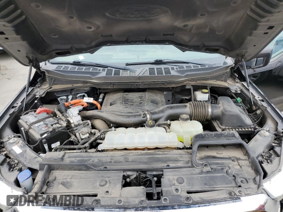 2021 Ford F-150 XL with VIN 1FTFW1ED4MFA04985, listed as a Copart auction lot 55450375 with 47,341 mi miles and Salvage Title. Bid and sale history available at carsss.com. Image 11.