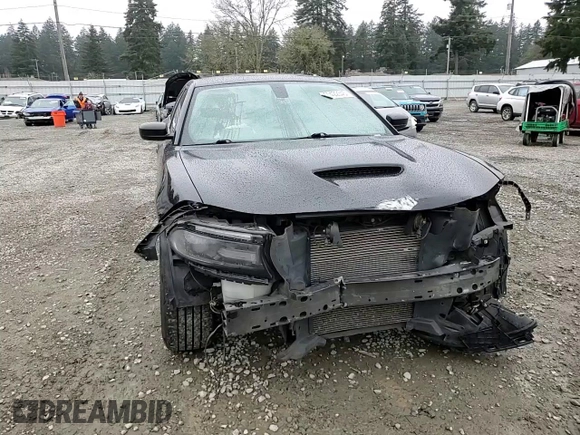 2019 Dodge Charger GT with VIN 2C3CDXHG2KH608648, listed as a Copart auction lot 50422345 with 111,202 mi miles and Salvage Title. Bid and sale history available at DreamBid. Image 10.