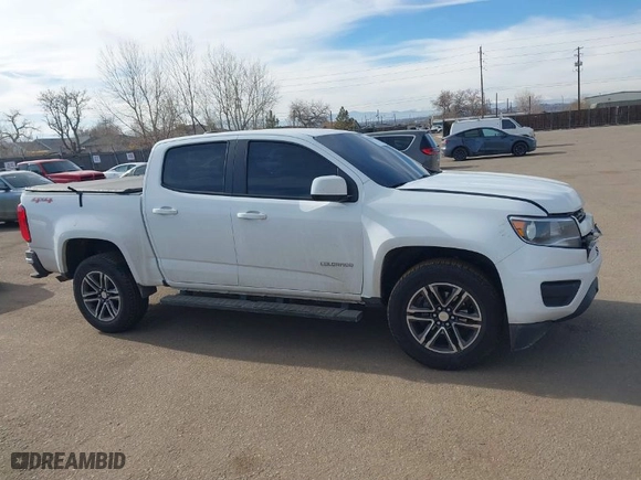 2019 Chevrolet Colorado 4WD Work Truck with VIN 1GCGTBEN0K1125759, listed as a IAAI auction lot 41466788 with 64,504 mi miles. Bid and sale history available at carsss.com. Image 13.