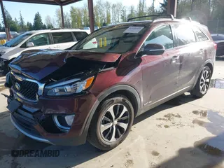 2016 Kia Sorento EX with VIN 5XYPHDA57GG181613, listed as a IAAI auction lot 42020545 with 173,439 mi miles. Bid and sale history available at carsss.com. Image 17.
