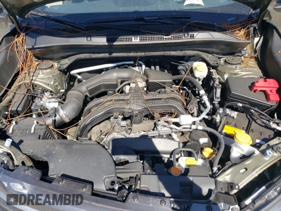 2025 Subaru Forester Limited с VIN JF2SLDNC0SH488141, выставлен на аукционе Copart как лот 52147495 с пробегом 10 793 миль миль и Списание • Salvage title. История ставок и продаж доступна на DreamBid. Изображение 12.