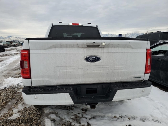 2022 Ford F-150 XL with VIN 1FTFW1E88NKF05082, listed as a Copart auction lot 38413734 with 23,469 mi miles and Salvage Title. Bid and sale history available at carsss.com. Image 6.