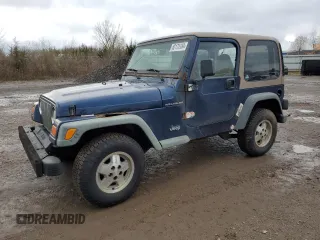 2001 Jeep Wrangler SE with VIN 1J4FA29P51P323174, listed as a Copart auction lot 82175184 with 262,098 mi miles and Clean Title. Bid and sale history available at carsss.com. Image 1.