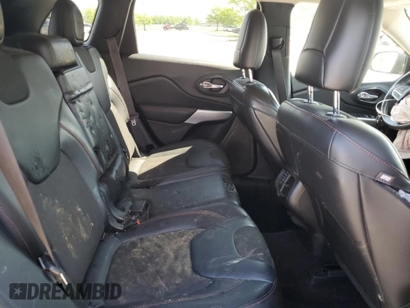 2017 Jeep Cherokee Trailhawk with VIN 1C4PJMBSXHW600230, listed as a Copart auction lot 55606665 with Not provided miles and Salvage title. Bid and sale history available at DreamBid. Image 11.