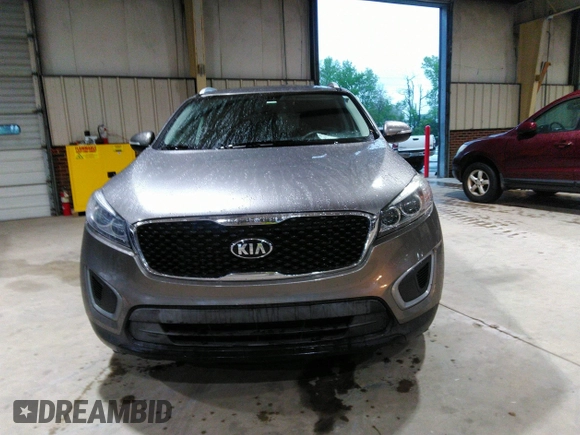 2017 Kia Sorento LX V6 with VIN 5XYPG4A52HG214862, listed as a IAAI auction lot 41986714 with 64,498 mi miles. Bid and sale history available at carsss.com. Image 12.