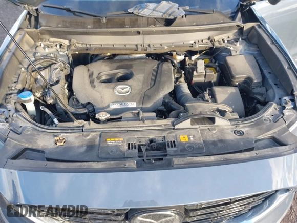 2022 Mazda CX-9 Grand Touring with VIN JM3TCBDYXN0618313, listed as a IAAI auction lot 41452750 with 34,356 mi miles and . Bid and sale history available at DreamBid. Image 10.
