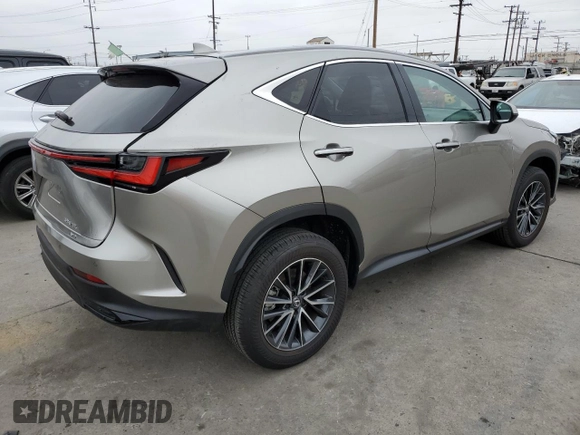 2025 Lexus NX 350 Premium with VIN 2T2GGCEZ8SC060289, listed as a Copart auction lot 58434995 with 13,767 mi miles and Salvage title. Bid and sale history available at DreamBid. Image 3.