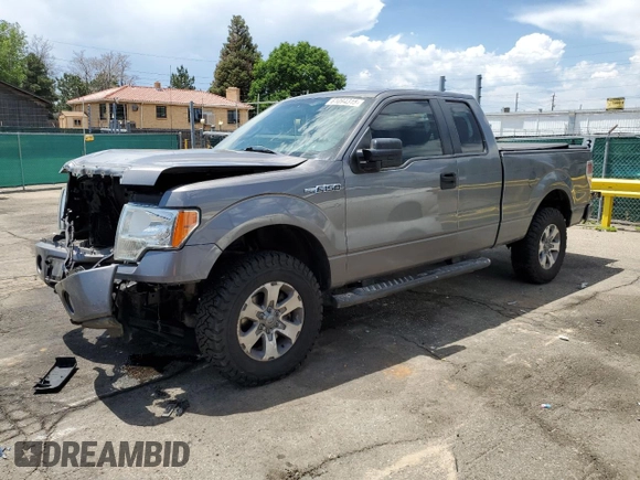 2013 Ford F-150 XL z VIN 1FTFX1EF4DFC99603, wystawiony jako Copart lot #61094315 z przebiegiem 148 899 mil mil oraz Szkoda całkowita • Salvage title. Historia ofert i sprzedaży dostępna na DreamBid. Obrazek 1.