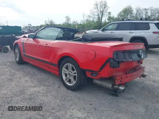 2014 Ford Mustang V6 with VIN 1ZVBP8EM3E5208282, listed as a IAAI auction lot 42104971 with Not Provided miles. Bid and sale history available at carsss.com. Image 3.