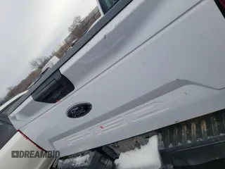2019 Ford F-150 XL with VIN 1FTEX1E55KKC02870, listed as a IAAI auction lot 42631387 with 206,967 mi miles and . Bid and sale history available at DreamBid. Image 36.