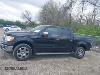 2011 Ford F-150 XL with VIN 1FTFW1EF5BFA66006, listed as a IAAI auction lot 42081229 with 175,161 mi miles. Bid and sale history available at carsss.com. Image 14.