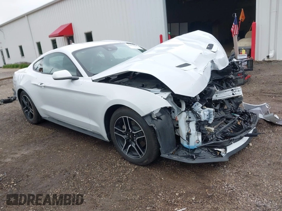 2023 Ford Mustang EcoBoost z VIN 1FA6P8TH4P5102314, wystawiony jako IAAI lot #42424637 z przebiegiem 48 353 mil mil oraz . Historia ofert i sprzedaży dostępna na DreamBid. Obrazek 1.