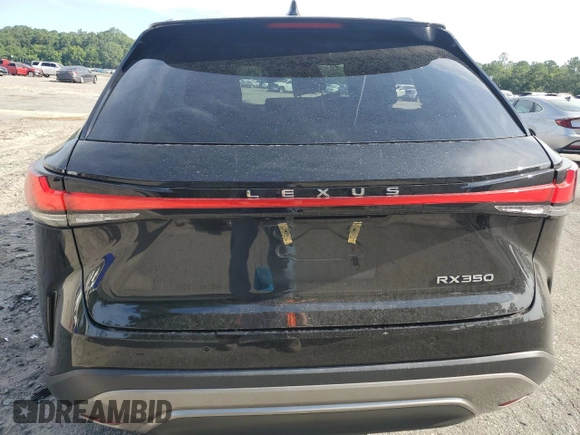 2023 Lexus RX 350 z VIN 2T2BAMBA8PC021368, wystawiony jako Copart lot #61616385 z przebiegiem 18 929 mil mil oraz Szkoda całkowita • Salvage title. Historia ofert i sprzedaży dostępna na DreamBid. Obrazek 6.