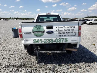 2013 Ford F-150 XL with VIN 1FTNF1CF1DKE06924, listed as a Copart auction lot 54252525 with 222,384 mi miles and Salvage title. Bid and sale history available at DreamBid. Image 6.