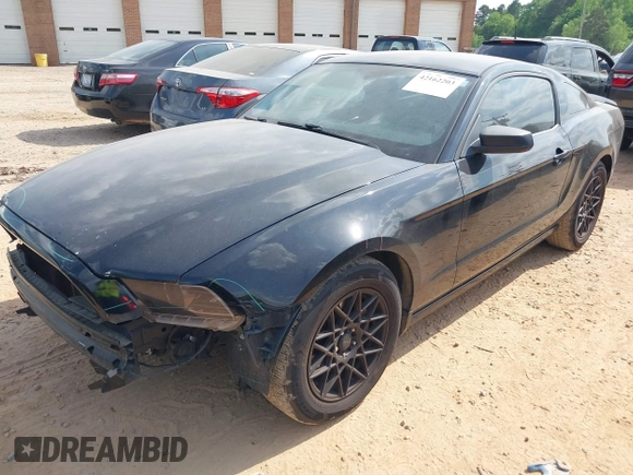 2013 Ford Mustang V6 with VIN 1ZVBP8AM4D5243305, listed as a IAAI auction lot 42162203 with 141,196 mi miles and . Bid and sale history available at DreamBid. Image 16.