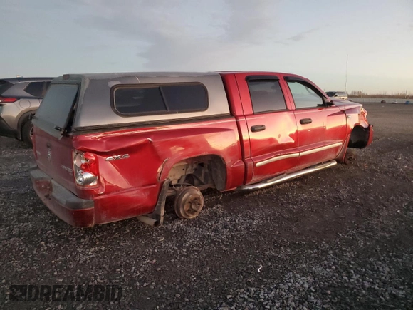 2010 Dodge Dakota SXT with VIN 1D7CW3GP5AS132893, listed as a Copart auction lot 81502524 with 256,032 mi miles and Clean Title. Bid and sale history available at carsss.com. Image 3.