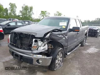 2010 Ford F-150 XL with VIN 1FTEX1E83AFD64062, listed as a IAAI auction lot 42550600 with 135,059 mi miles and . Bid and sale history available at DreamBid. Image 18.