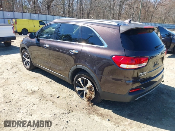 2016 Kia Sorento EX with VIN 5XYPH4A50GG043914, listed as a IAAI auction lot 41670153 with 113,121 mi miles. Bid and sale history available at carsss.com. Image 3.