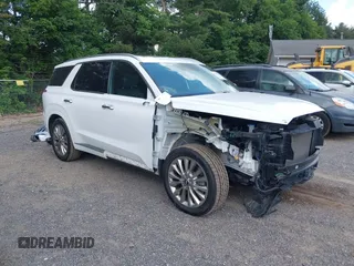 2020 Hyundai Palisade Limited with VIN KM8R54HE4LU109621, listed as a IAAI auction lot 42585725 with 63,903 mi miles and . Bid and sale history available at DreamBid. Image 1.