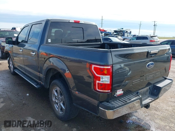 2019 Ford F-150 XL with VIN 1FTEW1C5XKKF31974, listed as a IAAI auction lot 42465378 with 62,217 mi miles and . Bid and sale history available at DreamBid. Image 3.