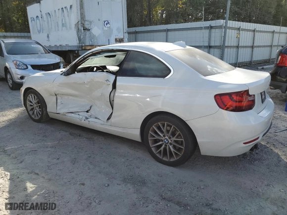 2016 BMW 2 Series 228i with VIN WBA1F9C55GV545653, listed as a Copart auction lot 76988204 with 118,602 mi miles and Salvage Title. Bid and sale history available at carsss.com. Image 2.