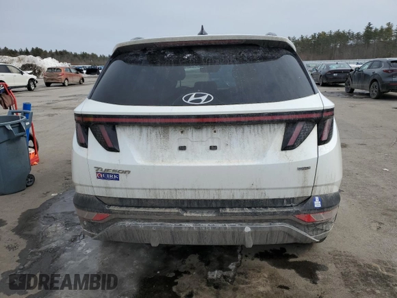 2022 Hyundai Tucson Limited with VIN 5NMJECAE8NH079815, listed as a Copart auction lot 46863115 with 77,756 mi miles and Salvage Title. Bid and sale history available at carsss.com. Image 6.