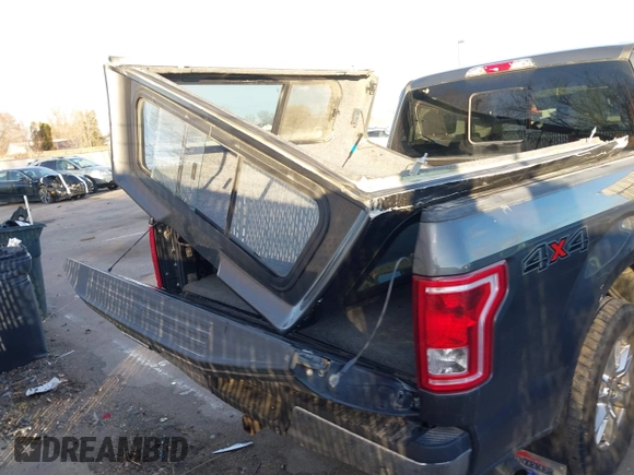 2015 Ford F-150 XLT with VIN 1FTEW1EP1FKE16670, listed as a IAAI auction lot 41120641 with 102,770 mi miles. Bid and sale history available at carsss.com. Image 16.