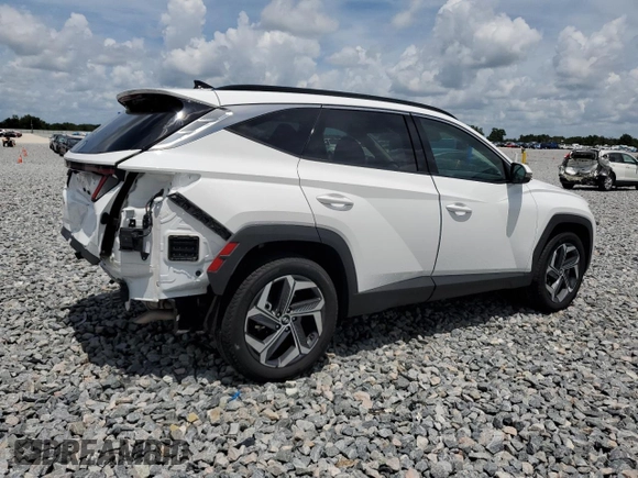 2024 Hyundai Tucson Limited with VIN 5NMJECDE5RH382973, listed as a Copart auction lot 61405635 with 35,692 mi miles and Clean title. Bid and sale history available at DreamBid. Image 3.