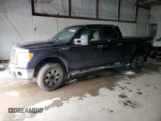 2010 Ford F-150 XL with VIN 1FTFW1EV8AFD31300, listed as a Copart auction lot 45961935 with Not Provided miles and Salvage Title. Bid and sale history available at DreamBid. Image 1.
