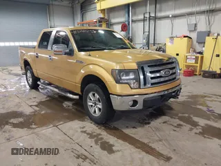 2009 Ford F-150 XL z VIN 1FTRW14829KC27848, wystawiony jako IAAI lot #41570755 z przebiegiem 163 947 mil mil oraz . Historia ofert i sprzedaży dostępna na DreamBid. Obrazek 1.