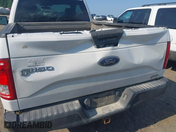2016 Ford F-150 XL with VIN 1FTMF1C80GFB09055, listed as a IAAI auction lot 42563689 with 255,932 mi miles and . Bid and sale history available at DreamBid. Image 19.
