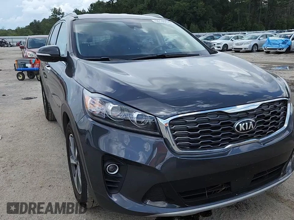 2019 Kia Sorento EX with VIN 5XYPH4A52KG461755, listed as a Copart auction lot 60148425 with 89,802 mi miles and Salvage title. Bid and sale history available at DreamBid. Image 15.