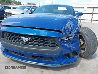 2024 Ford Mustang EcoBoost с VIN 1FA6P8TH0R5142067, выставлен на аукционе IAAI как лот 42338104 с пробегом 7 179 миль миль и . История ставок и продаж доступна на DreamBid. Изображение 17.