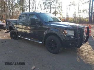 2009 Ford F-150 XL z VIN 1FTPW14V59FA97473, wystawiony jako IAAI lot #41027912 z przebiegiem 155 502 mil mil oraz . Historia ofert i sprzedaży dostępna na DreamBid. Obrazek 1.