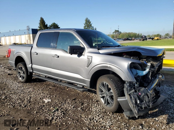 2021 Ford F-150 XL with VIN 1FTFW1E55MFA77310, listed as a Copart auction lot 56179055 with 48,990 mi miles and Salvage title. Bid and sale history available at DreamBid. Image 4.