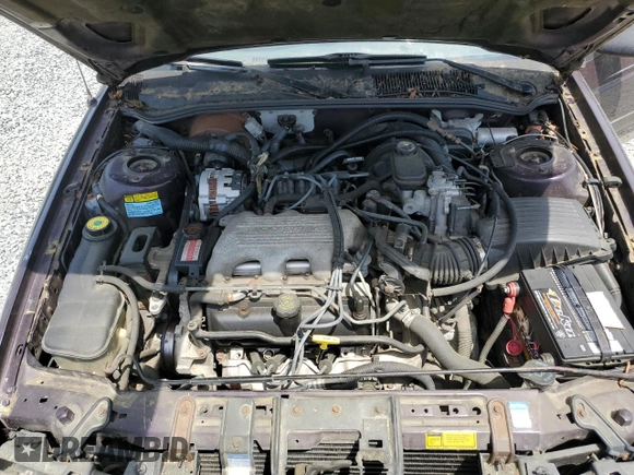 1994 Chevrolet Corsica with VIN 1G1LD55M0RY236990, listed as a Copart auction lot 55420995 with 11,193 mi miles and Clean Title. Bid and sale history available at DreamBid. Image 11.