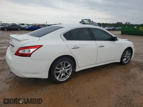 2010 Nissan Maxima S with VIN 1N4AA5AP0AC803438, listed as a Copart auction lot 56127025 with 189,922 mi miles and Salvage title. Bid and sale history available at DreamBid. Image 3.