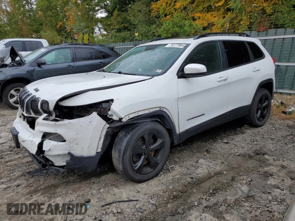 2017 Jeep Cherokee Limited z VIN 1C4PJMDS2HW569309, wystawiony jako Copart lot #74177954 z przebiegiem 106 958 mil mil oraz Szkoda całkowita • Salvage title. Historia ofert i sprzedaży dostępna na DreamBid. Obrazek 1.