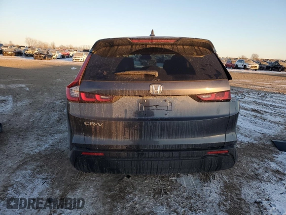 2025 Honda CR-V EX with VIN 7FARS4H46SE005065, listed as a Copart auction lot 88403065 with Not Provided miles and Salvage Title. Bid and sale history available at DreamBid. Image 6.