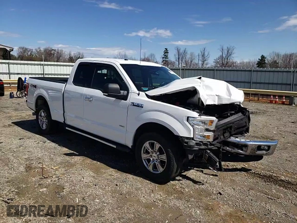 2016 Ford F-150 XLT with VIN 1FTEX1EP5GFB24513, listed as a Copart auction lot 49113035 with 156,266 mi miles and Salvage Title. Bid and sale history available at carsss.com. Image 10.