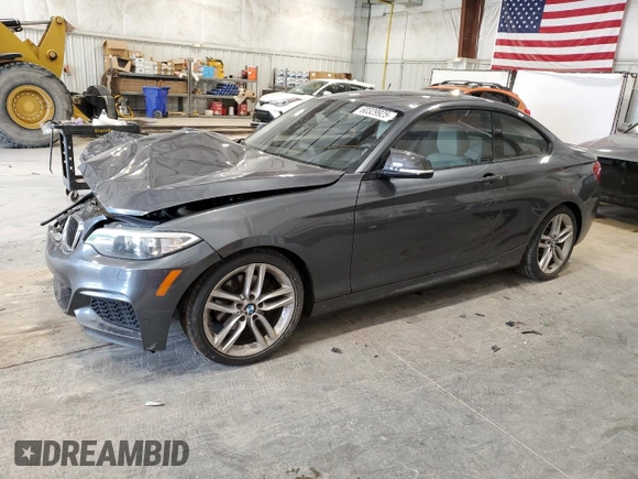 2015 BMW 2 Series 228i with VIN WBA1F5C59FV343633, listed as a Copart auction lot 60329925 with 123,644 mi miles and Non repairable. Bid and sale history available at DreamBid. Image 1.