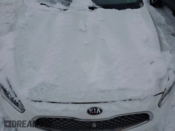 2016 Kia Cadenza Premium with VIN KNALN4D78G5208098, listed as a Copart auction lot 87902265 with 0 mi miles and Clean Title. Bid and sale history available at carsss.com. Image 11.