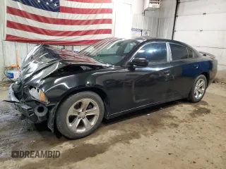 2013 Dodge Charger SE with VIN 2C3CDXBG1DH725486, listed as a Copart auction lot 49420265 with 215,154 mi miles and Salvage Title. Bid and sale history available at DreamBid. Image 1.