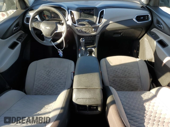 2019 Chevrolet Equinox LS with VIN 3GNAXHEV6KL315045, listed as a Copart auction lot 46669115 with 146,866 mi miles and Salvage Title. Bid and sale history available at carsss.com. Image 8.