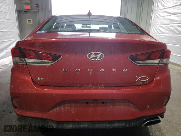 2019 Hyundai Sonata SE with VIN 5NPE24AF1KH745579, listed as a Copart auction lot 47007445 with 48,980 mi miles and Salvage Title. Bid and sale history available at carsss.com. Image 6.