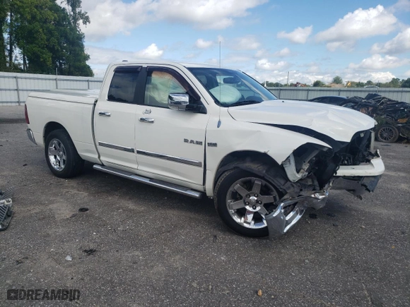 2009 Dodge Ram 1500 ST with VIN 1D3HB18T69S705234, listed as a Copart auction lot 73299204 with 170,222 mi miles and Salvage Title. Bid and sale history available at carsss.com. Image 4.
