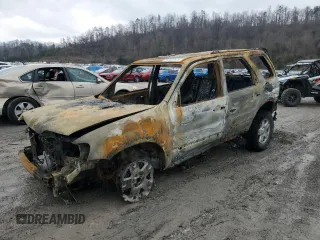 2006 Ford Escape XLT with VIN 1FMYU931X6KC43873, listed as a Copart auction lot 45002425 with 0 mi miles and Salvage Title. Bid and sale history available at carsss.com. Image 1.
