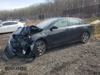 2019 Kia Forte S with VIN 3KPF34AD9KE072349, listed as a Copart auction lot 51484735 with 0 mi miles and Salvage Title. Bid and sale history available at carsss.com. Image 1.